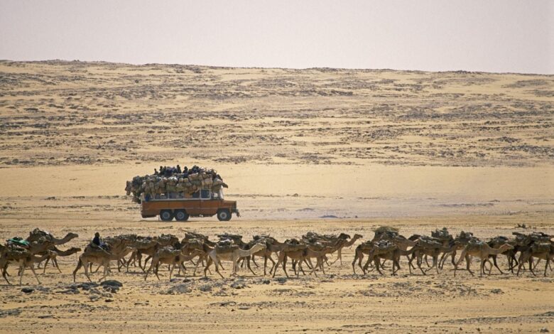 49 personas mueren de sed en el desierto por avería de un camión 49 personas mueren de sed en el desierto por avería de un camión